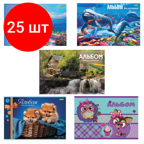 Комплект 25 шт, Альбом для рисования, А4, 24 листа, скоба, обложка офсет, HATBER ECO, 205х290 мм, Ассорти (5 видов), 24А4C