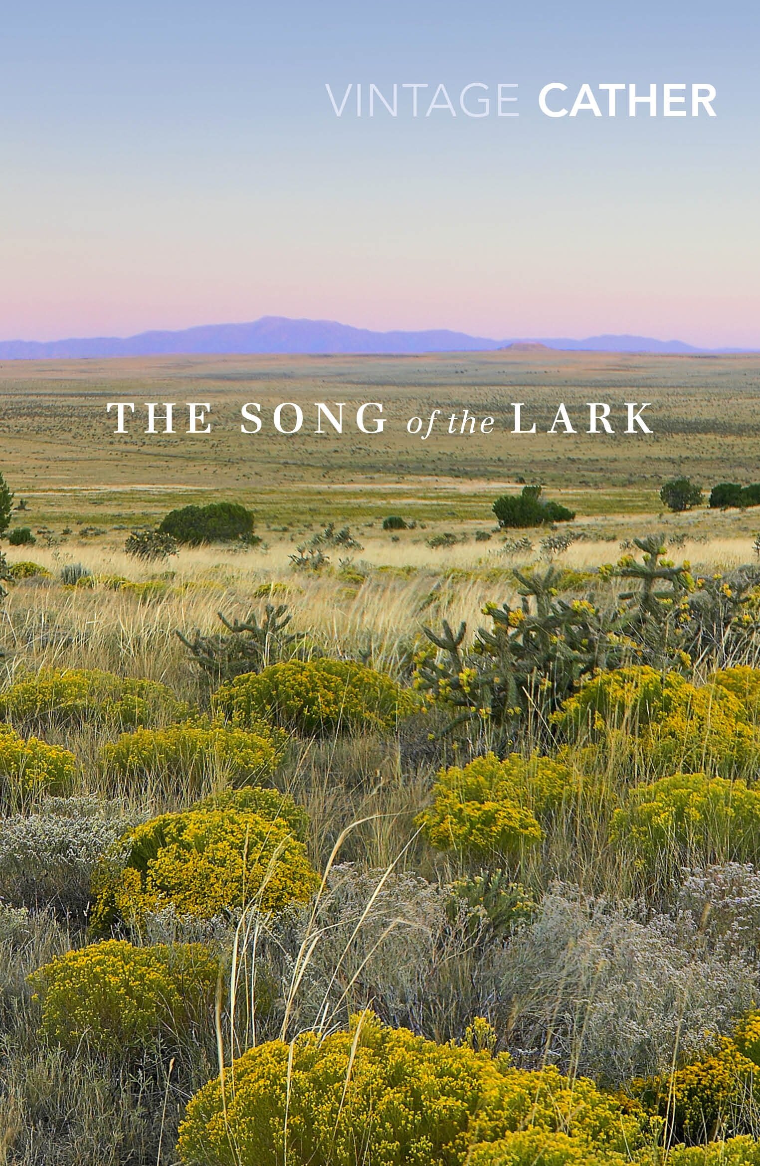 The Song of the Lark (Cather Willa) - фото №1