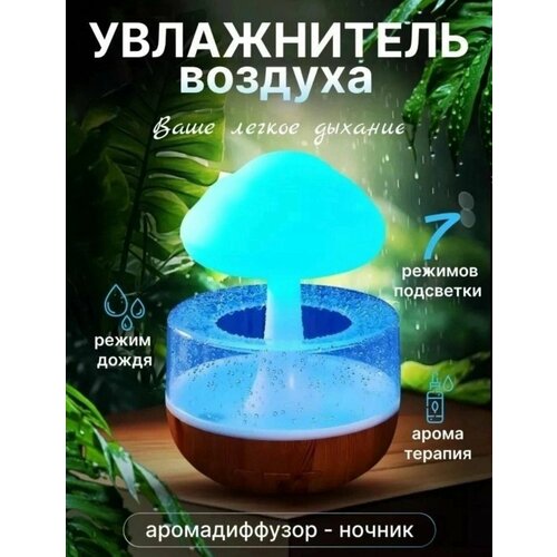 Увлажнитель воздуха для дома дождевое облако 3в1 340000₽