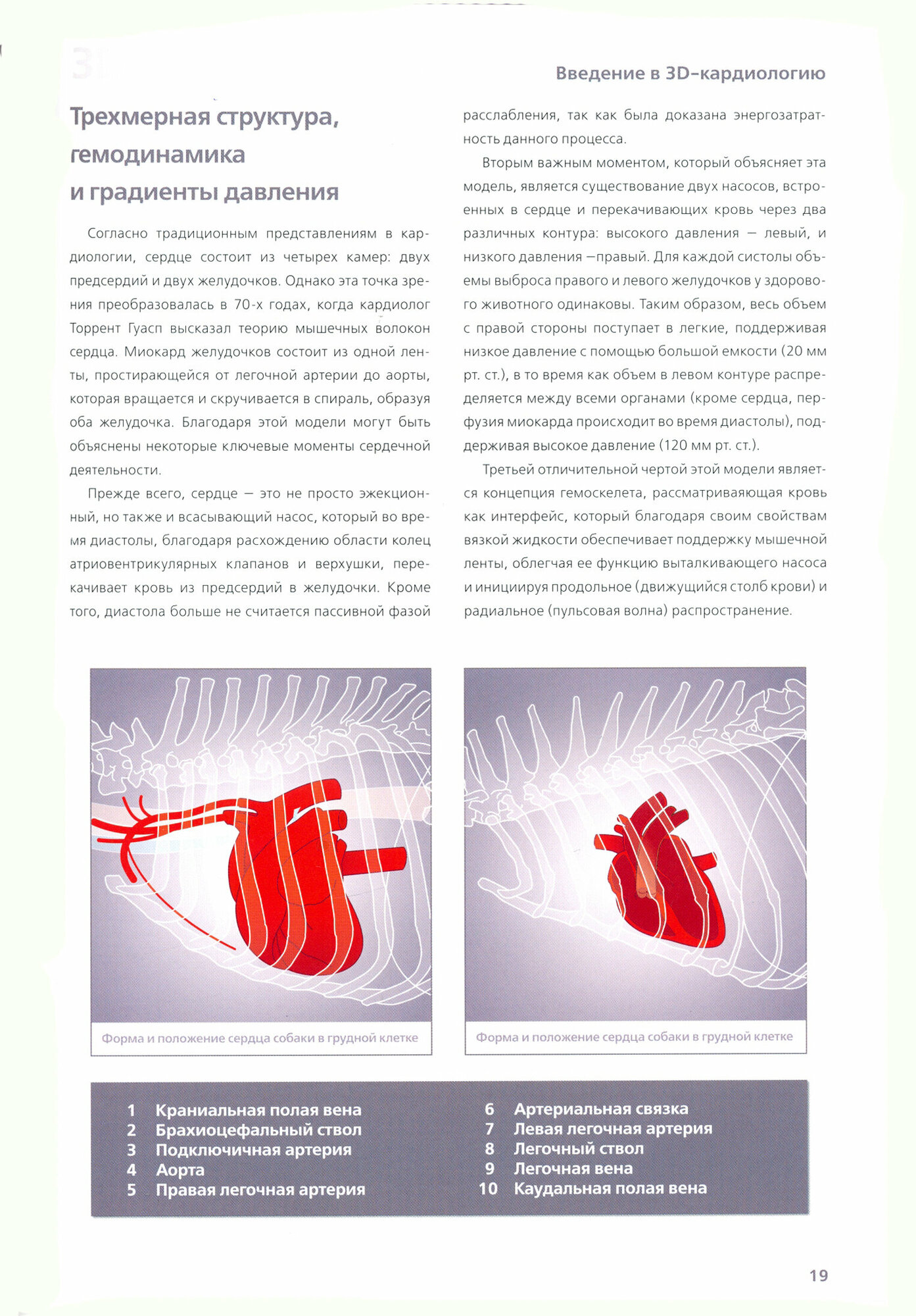 3D-кардиология мелких домашних животных. Патофизиологические основы и диагностические ключи - фото №3