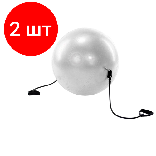 Комплект 2 штук, Мяч для фитнеса 'ФИТБОЛ-65 с эспандерами', SF 0216