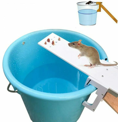 Гуманная мышеловка для мышей