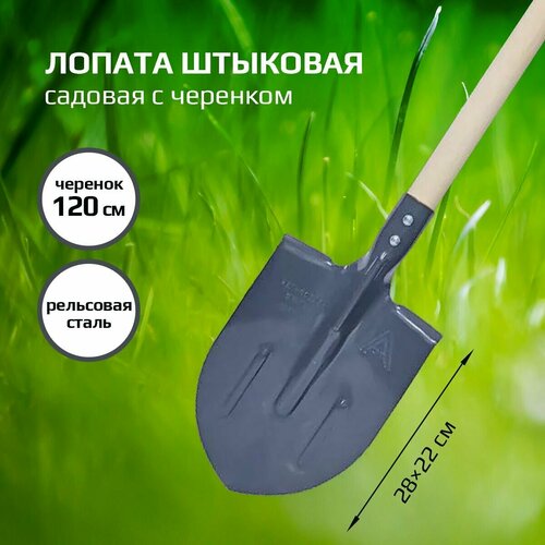 Лопата штыковая садовая с черенком 142см. универсальная, рельсовая сталь, Амбидекстр Феникс,