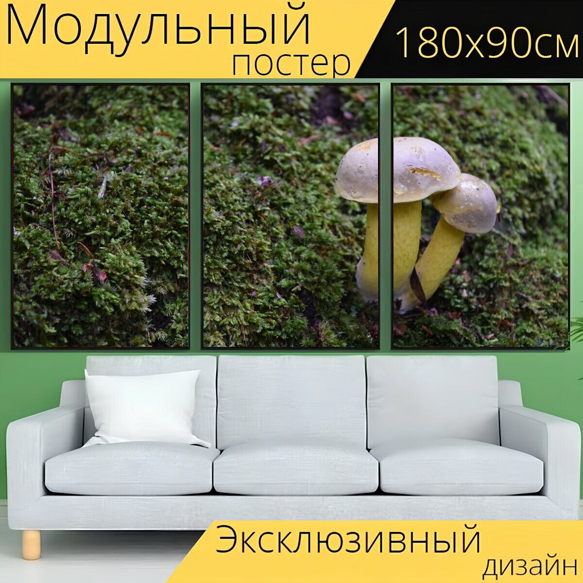 Модульный постер "Гриб, грибы, грибок" 180 x 90 см. для интерьера