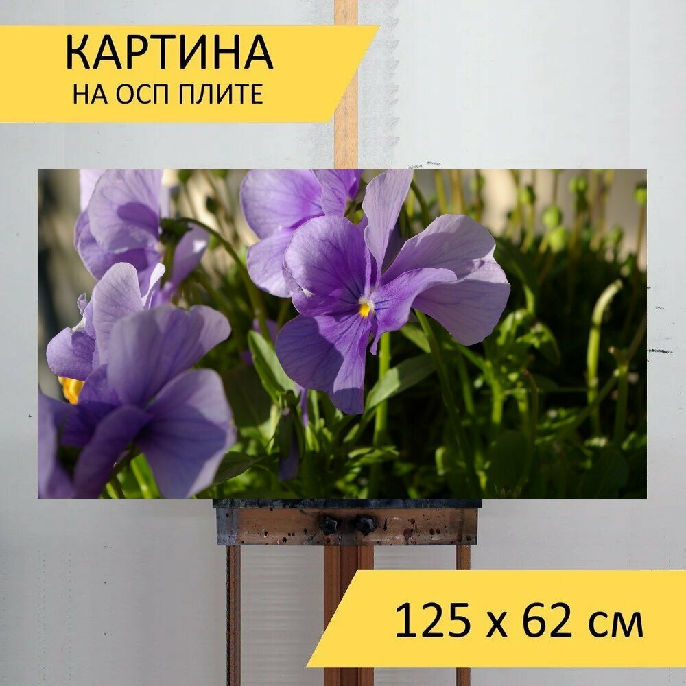 Картина на ОСП 125х62 см. "Цветы, фиолетовый, застенчивый" горизонтальная, для интерьера, с креплениями