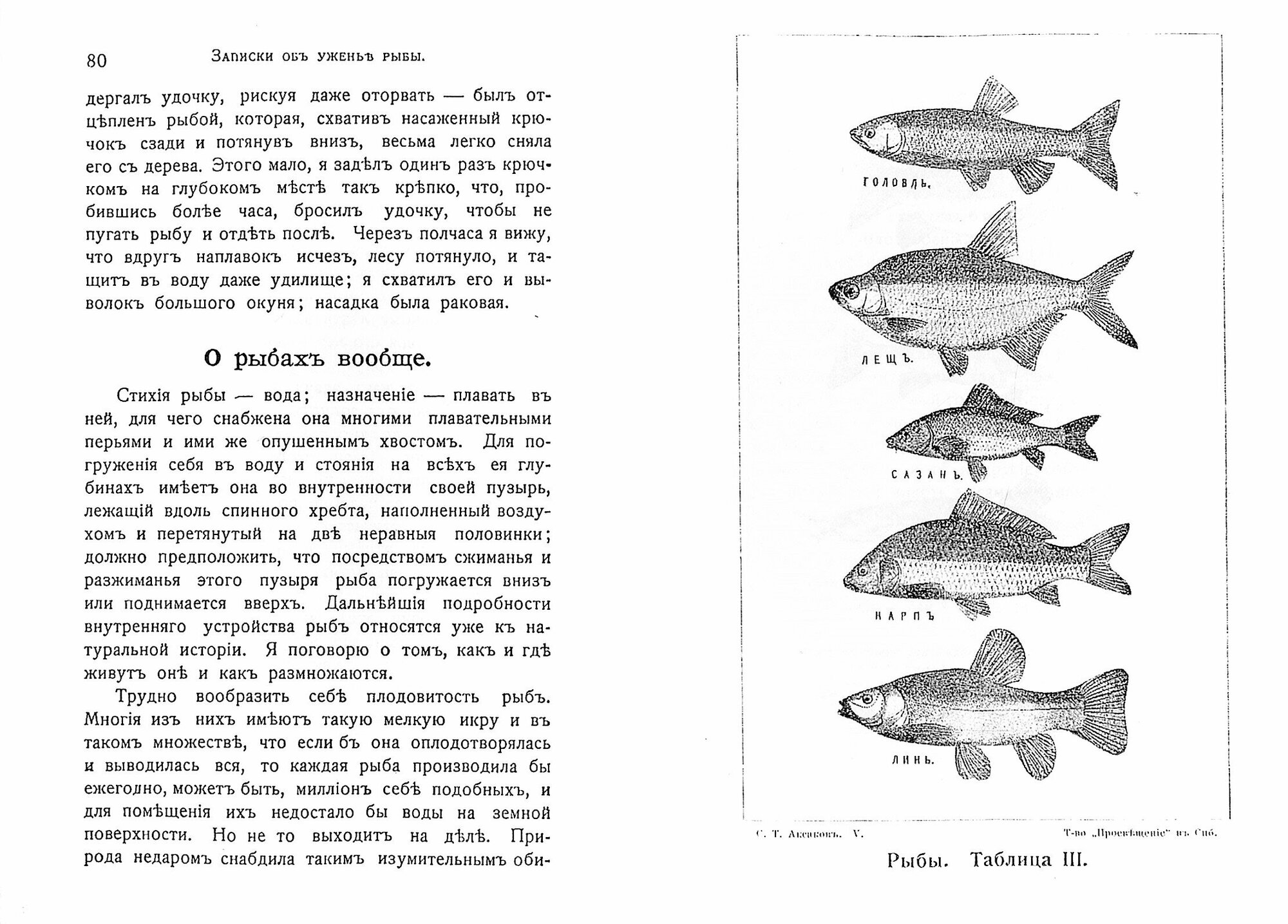Записки о уженье рыбы (репринт) - фото №2