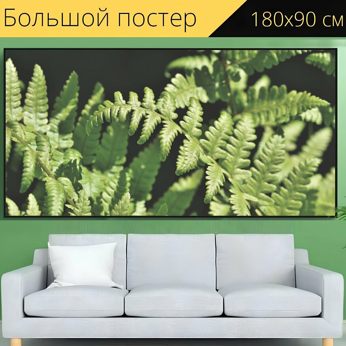 Большой постер "Папоротник, листья папоротника, растение папоротник" 180 x 90 см. для интерьера