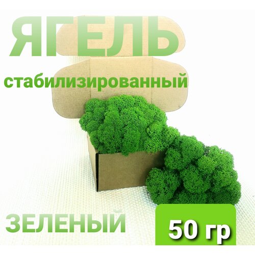 Мох (ягель) стабилизированный зеленый от Norwegian Wood 50 гр