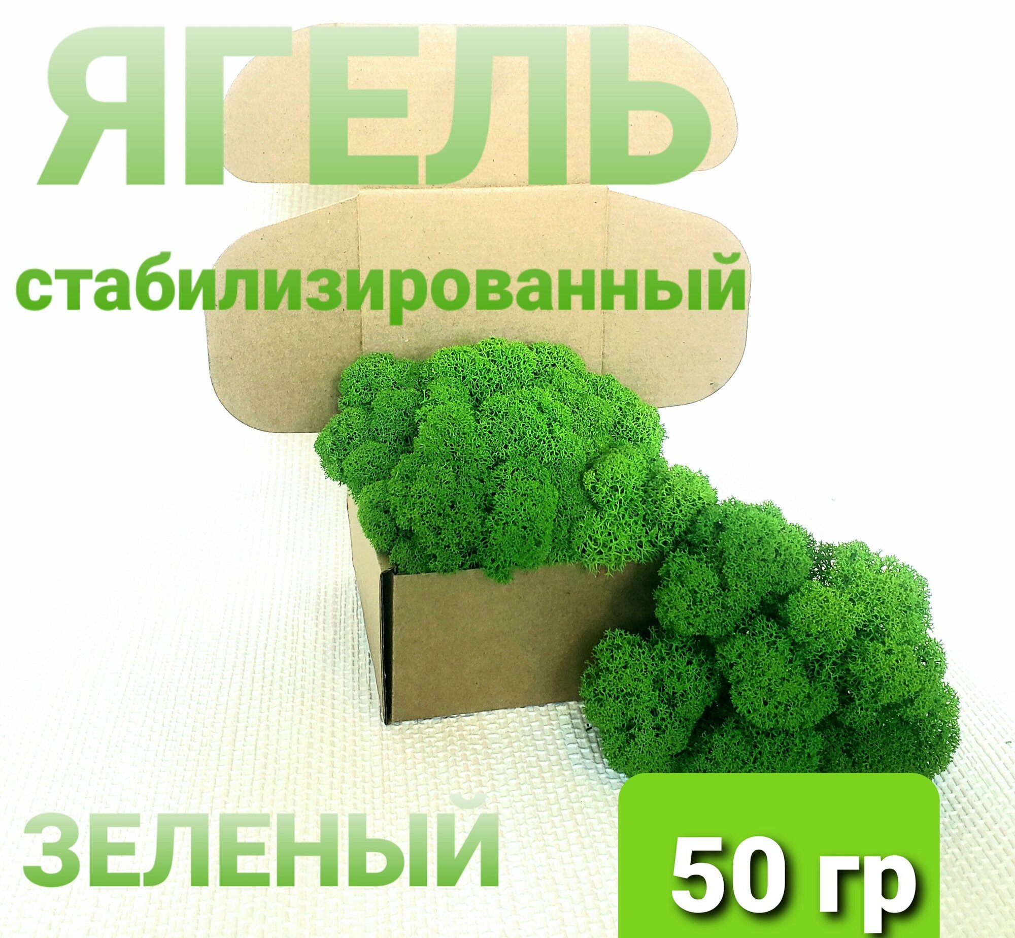 Мох (ягель) стабилизированный зеленый от Norwegian Wood 50 гр