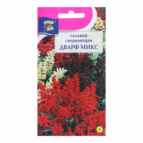 Семена цветов Сальвия Дварф, Микс, 0,03 г (комплект из 48 шт) семена сальвия микс 0 1 г 10 шт