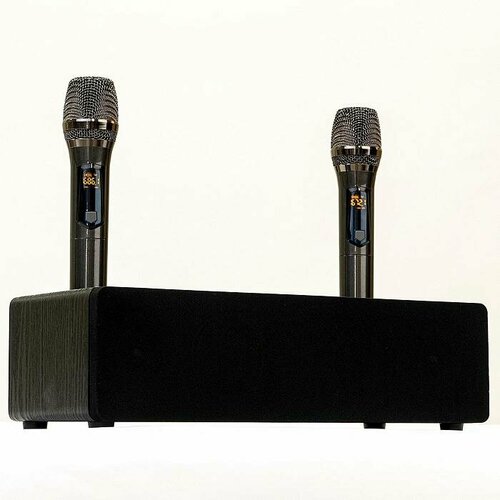 Караоке-система для дома с беспроводными микрофонами SkyDisco Final Bass Artifact Black