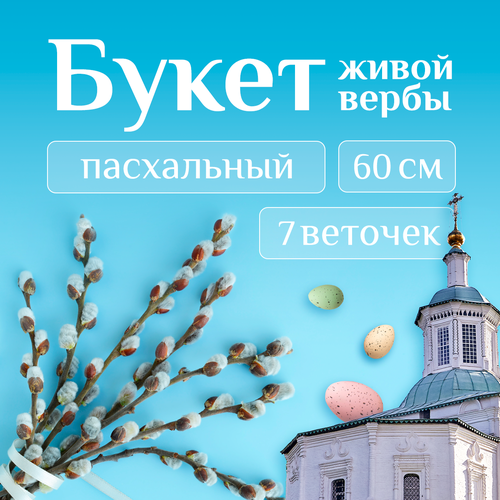 Букет живой вербы пасхальный 60 см, 7 веток, вербное воскресенье