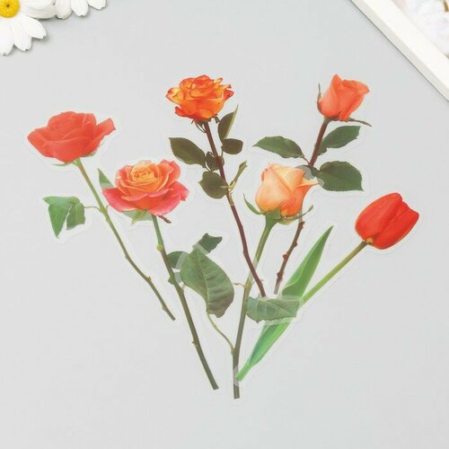 Наклейки пластик Цветы и цитаты Желто-оранжевые набор 12 шт 85х215х02 см для дома 599₽