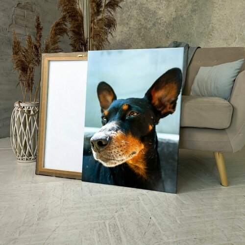 Картина на холсте (доберман собака морда породы пинчер) 60x80 см/для интерьера/в комнату/на стену/в подарок