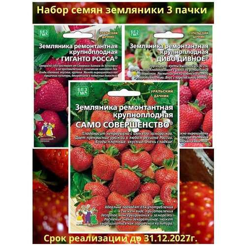 Земляника Уральский Дачник 3 упаковки: Гиганто Росса, Диво Дивное, Само Совершенство земляника гиганто росса семена