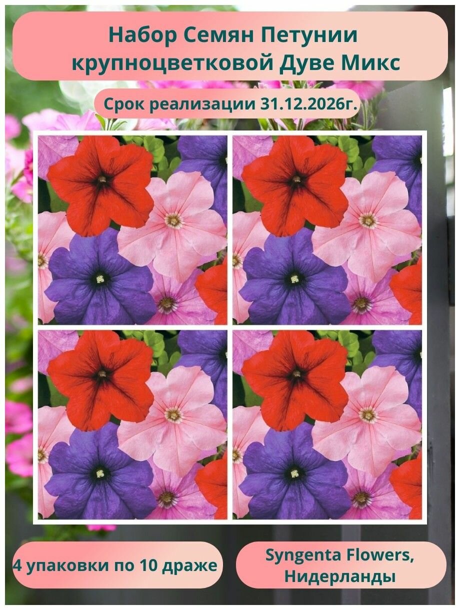 Петуния крупноцветковая Дуве Микс 4 упаковки по 10 драже Syngenta Flowers Нидерланды