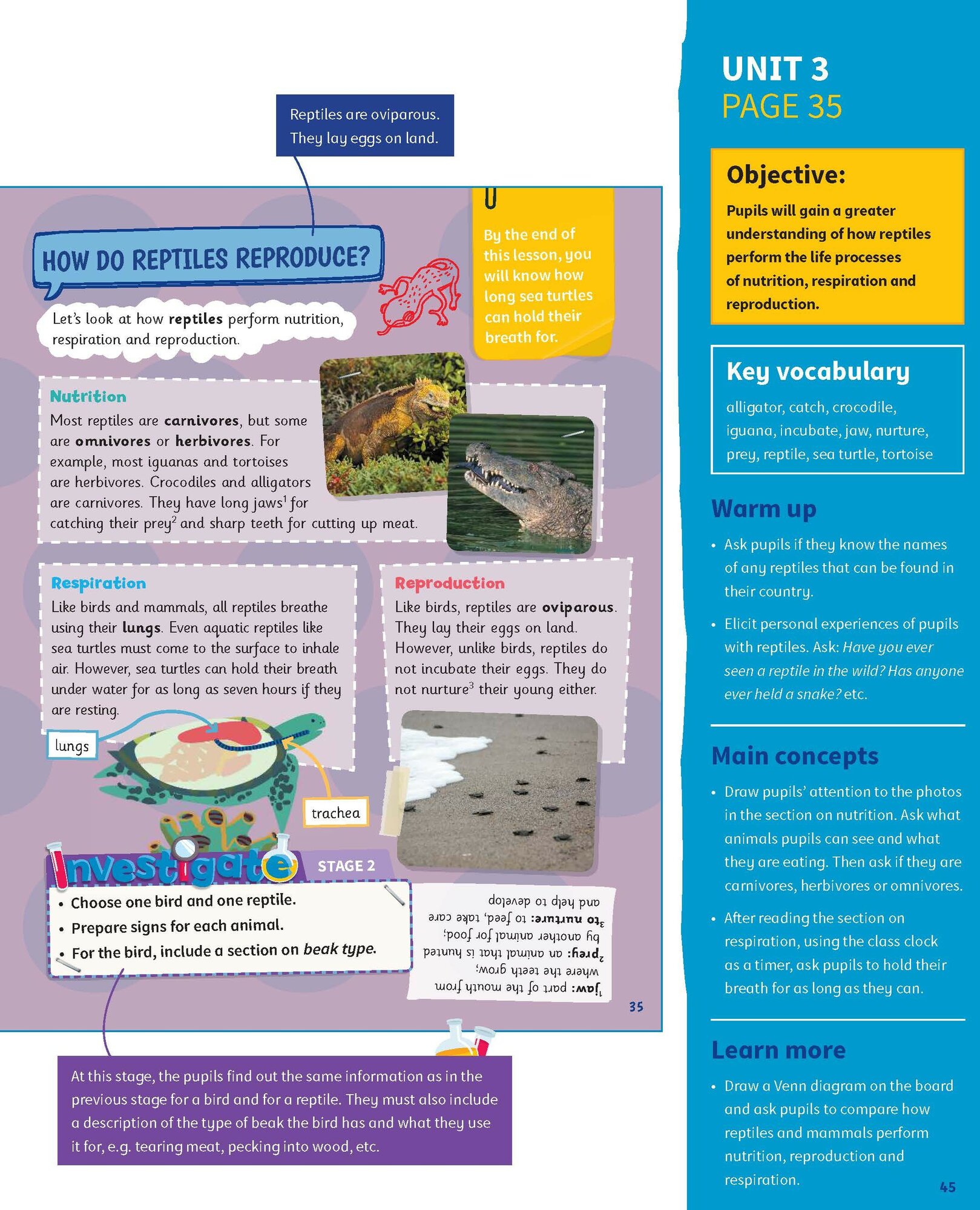 Science Skills. Level 4. Teacher's Book with Downloadable Audio - фото №5