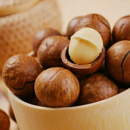 Изображение товара Макадамия 5А с ключами, крупный и отборный, Австралийский орех в скорлупы, 1000 грамм