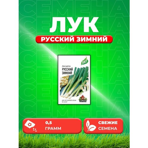 Лук батун Русский зимний 0,5 г ХИТ х3 семена лук батун русский зимний 0 5 г серия хит х3 5 шт