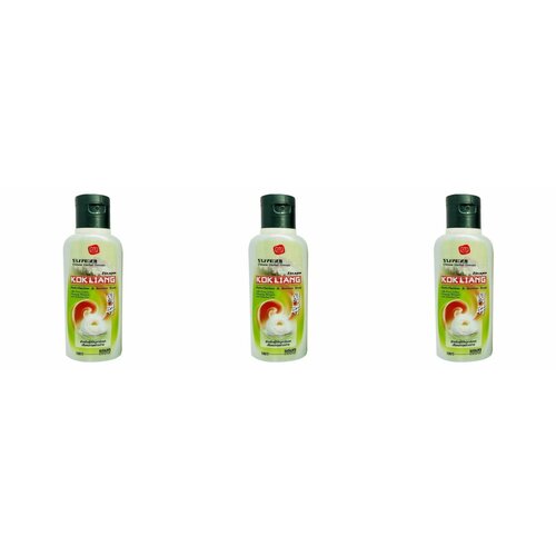 Натуральный травяной шампунь Kokliang против перхоти, Chinese Herbal Therapy Anti-Hairloss & Soothes Scalp Shampoo, 100 мл, 3 шт
