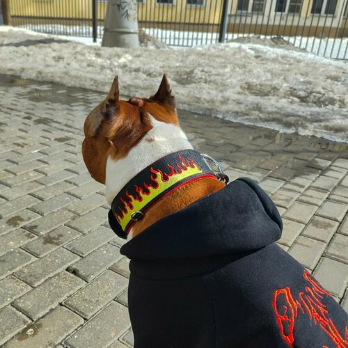 Широкий ошейник с вышивкой "Огонь" для собак, с принтом, с рисунком для собак крупных и средних пород от DOGTON. Ширина 5.5 см. Обхват шеи 53-65 см.