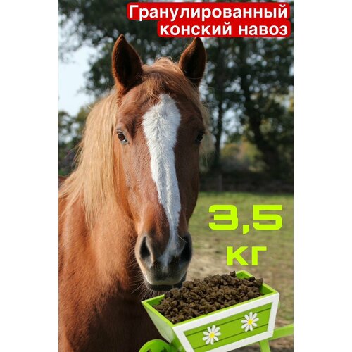 Гранулированный Конский навоз 3,5