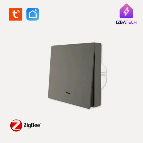 Изображение товара Умный выключатель Zigbee С нулем, умный дом, импульсный одноклавишный, черный