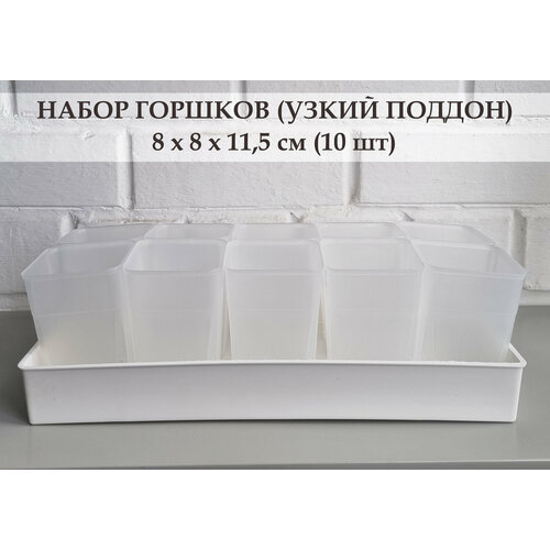 Прозрачные высокие горшки для суккулентов. Набор горшков с узким поддоном, 8х11,5 см, 10 шт