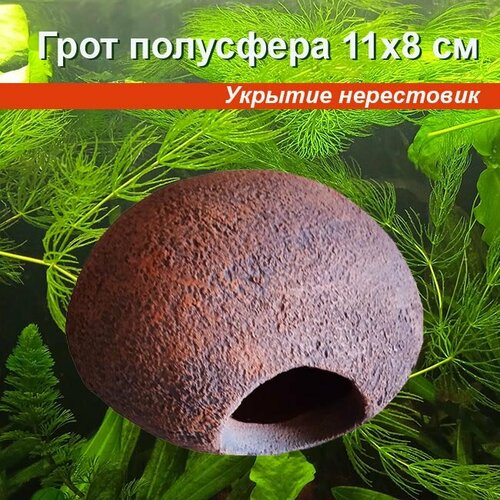 Грот 3 полусфера 700₽