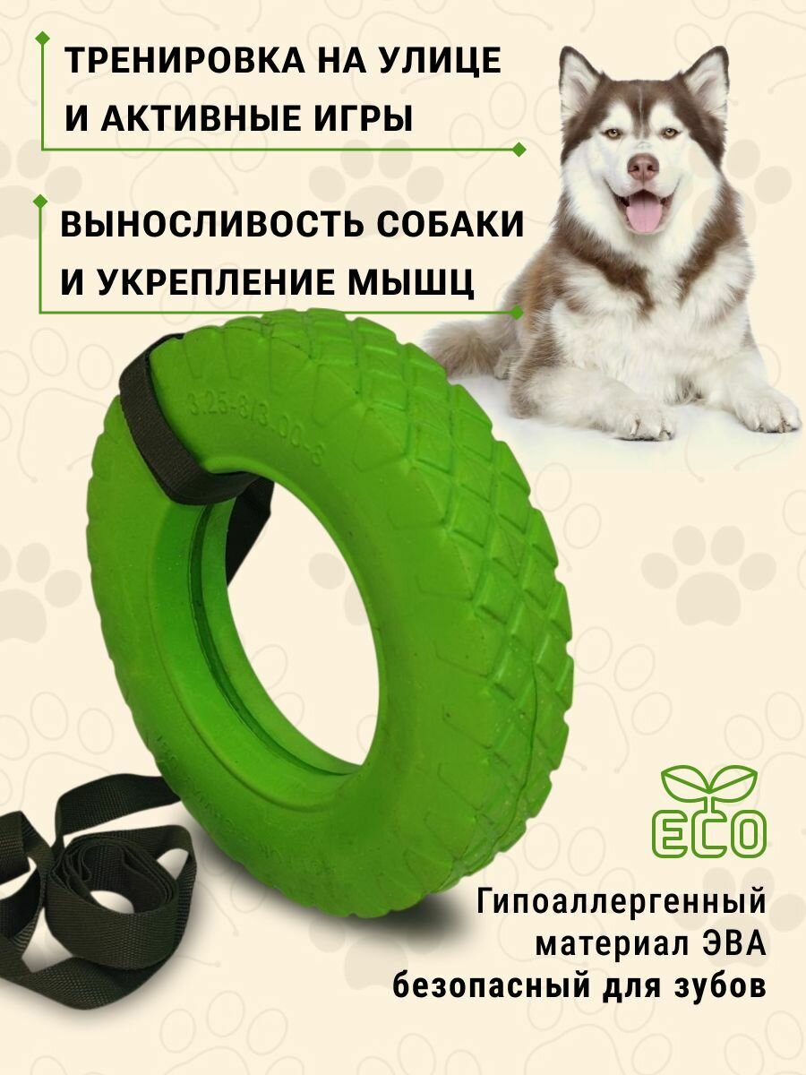 Игрушка пуллер Колесник "Кольцо", для собак, тренировочная, цвет салатовый — фото 1