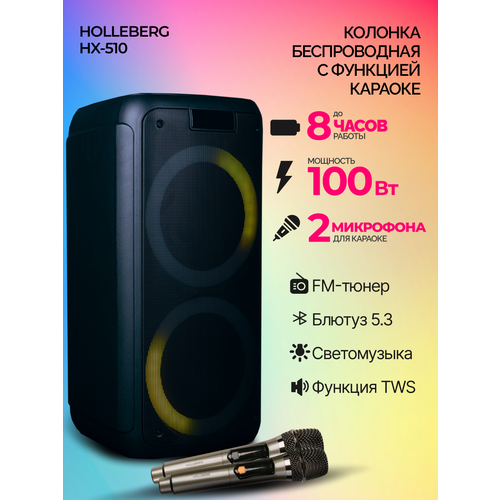 Портативная колонка беспроводная музыкальная с микрофоном HOLLEBERG HX-510