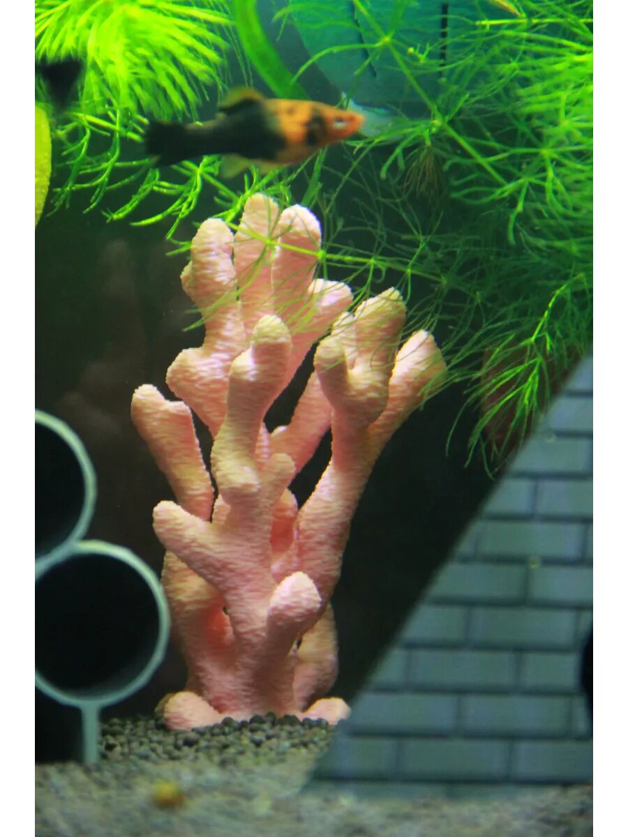 Коралл для аквариума искусственный, розовый