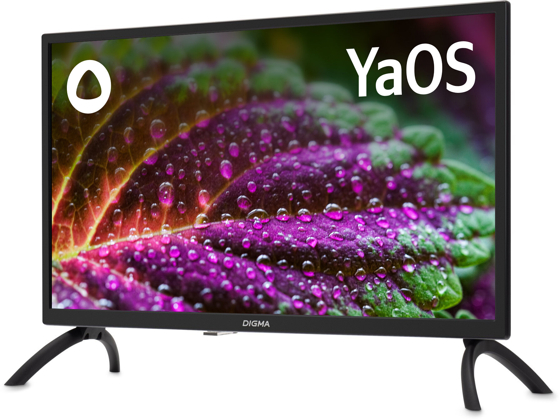 Телевизор Digma Яндекс.ТВ DM-LED24SBB31, 24", LED, HD, Яндекс.ТВ, черный - фото №2