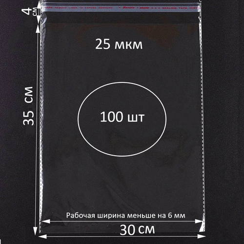 Упаковочные пакеты бопп с клеевым клапаном 30х35/4 см (100 шт)