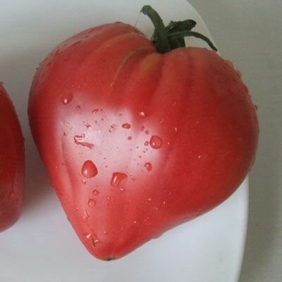 Коллекционные семена томата Знаменитая клубника миссис Шлаубах
