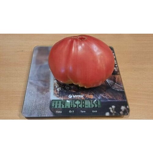 Коллекционные семена томата Балтийские Гиганты мякоть томатов pomito 500 г