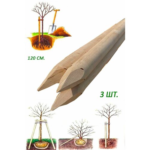 Колышки для подвязки деревьев и разметки территории 3 шт.