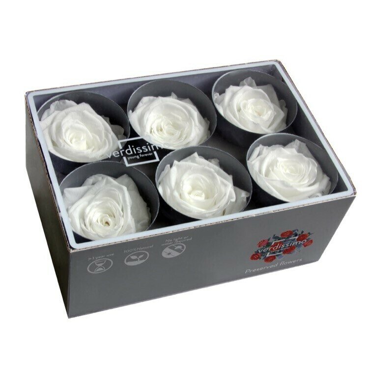 Бутоны розы стабилизированные "Белые" 6шт /флористический материал/для создания букетов/