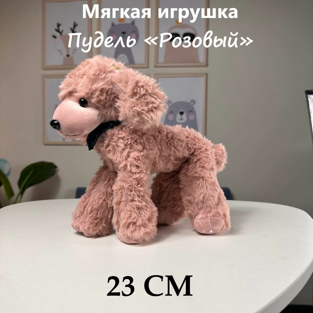 фото Пудели