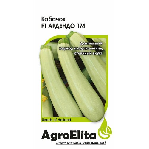 Семена Кабачок Ардендо 174 F1, 5шт, AgroElita, Enza Zaden