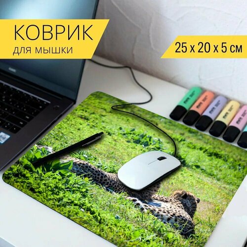 Коврик для мыши с принтом Гепард, природа, дикая природа 25x20см. стол черепаха природа дикая природа 65x65 см кухонный квадратный с принтом