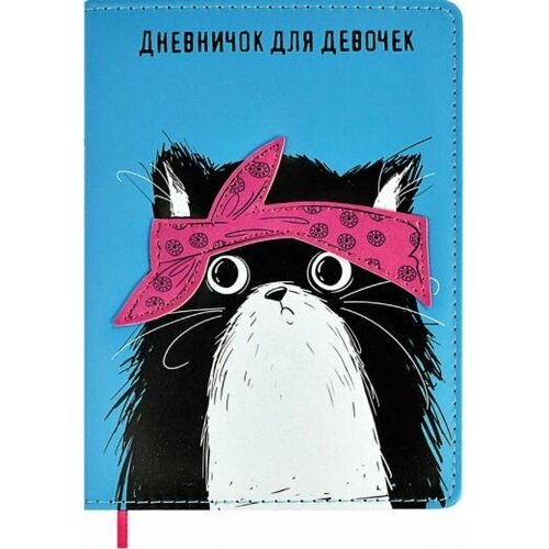 Дневничок для девочек кот, 96 листов, а6+ записная книжка эксмо а6 110 145 80л книги для записей графика вязаный стиль твердая обложка с поролоном
