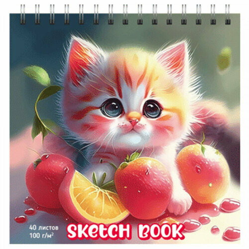 Блокнот-скетчпад А6 на гребне 40 листов deVENTE Kitty Fruits 100 гм арт2134323 Количество в наборе 6 шт 611₽