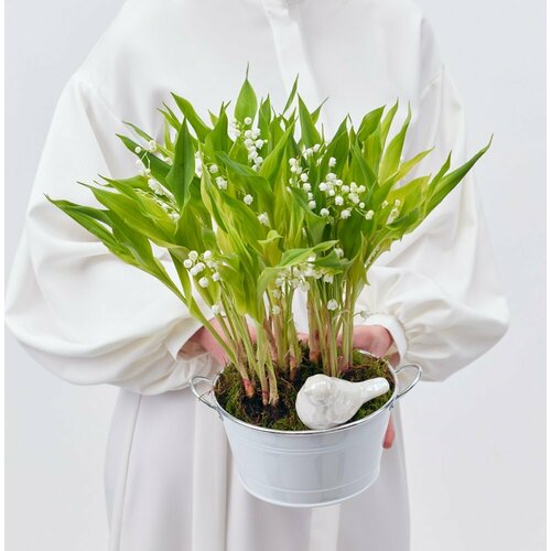 Ландыши в кашпо No.6656 Кашпо, Ландыш