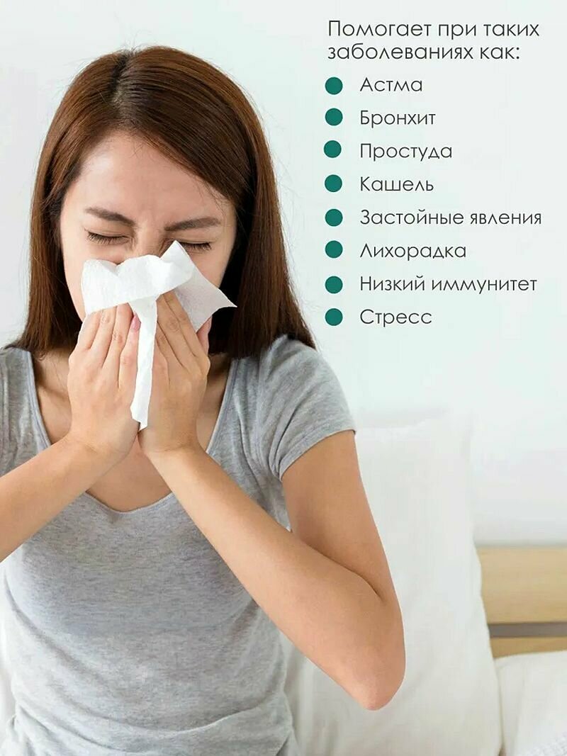 Изображение Туласи (Tulasi Himalaya) от простуды и гриппа/противовоспалительное/повышает иммунитет - 60 таб