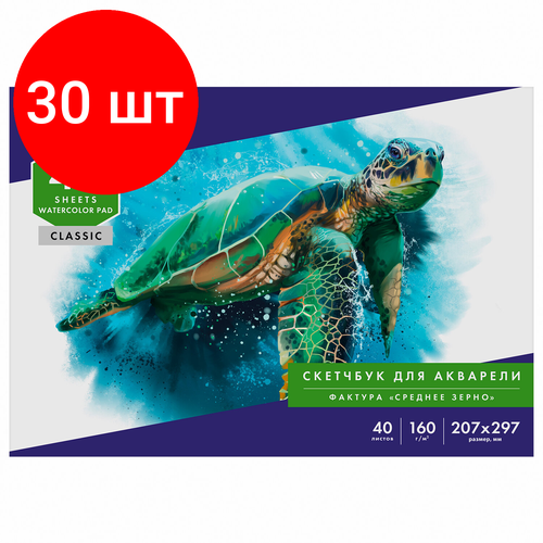 Комплект 30 шт, Альбом для акварели, бумага 160г/м, 207х297мм, 40л, склейка, BRAUBERG ART CLASSIC, 105927
