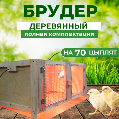 Брудер для 70 цыплят деревянный полная комплектация брудер для цыплят 32 оптима с поддоном из нержавейки