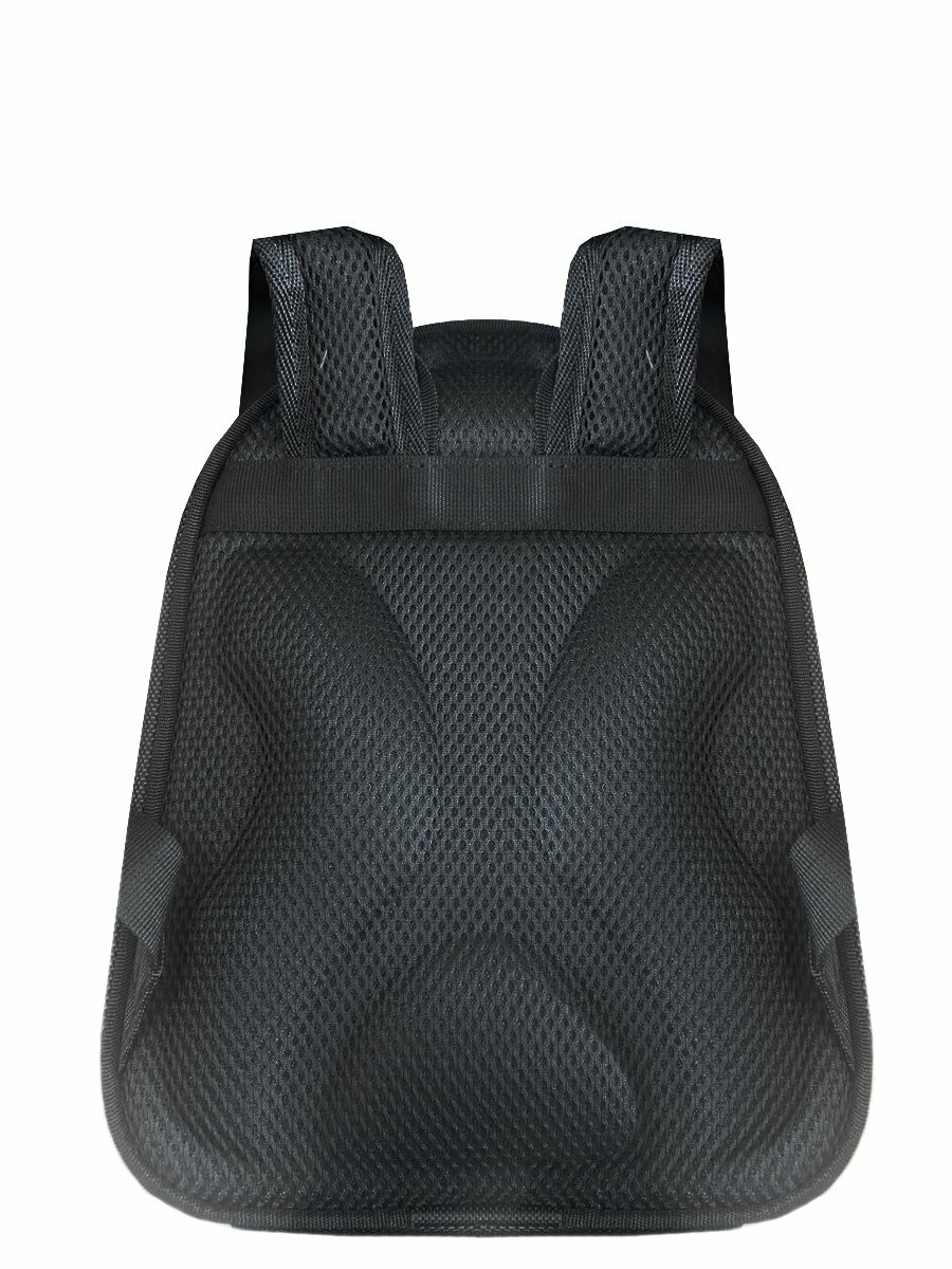 Рюкзак BagRio BR27-mini/g - фото №4