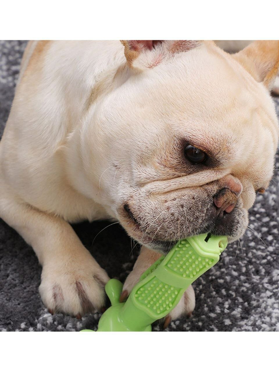 Силиконовая зубная щетка-массажер для собак - фотография № 4