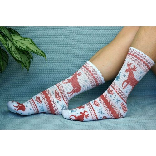 фото Носки , размер 36/41, синий, красный хлопковые cotton print